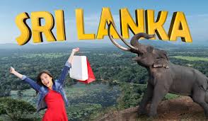 Things to Buy in Sri Lanka